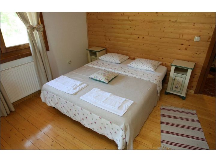 Pensiunea Gasthaus MARIA, Caransebes - imaginea 
