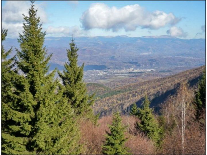 Pensiunea Vacanta, Straja - imaginea 