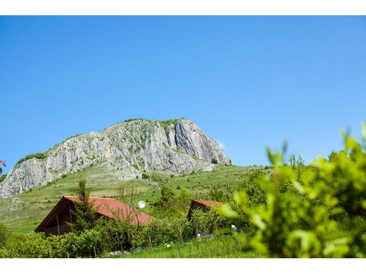 Casute Studiouri Valisoara, Valisoara - imaginea 