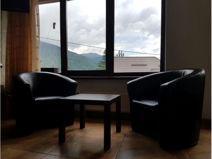 Vila Marin, Sinaia - imaginea 