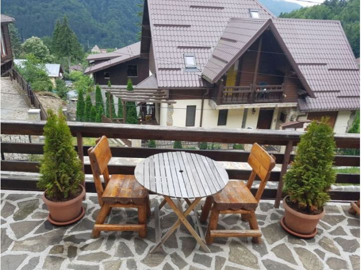 Vila Marin, Sinaia - imaginea 