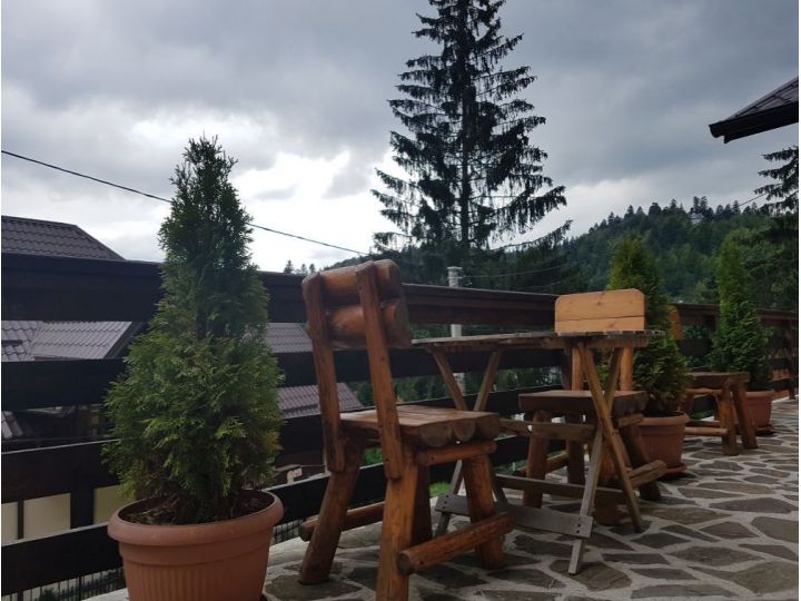 Vila Marin, Sinaia - imaginea 