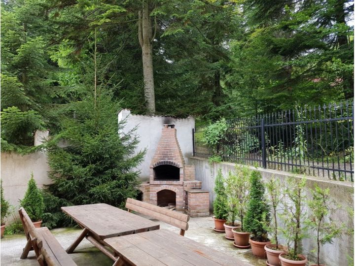 Vila Marin, Sinaia - imaginea 