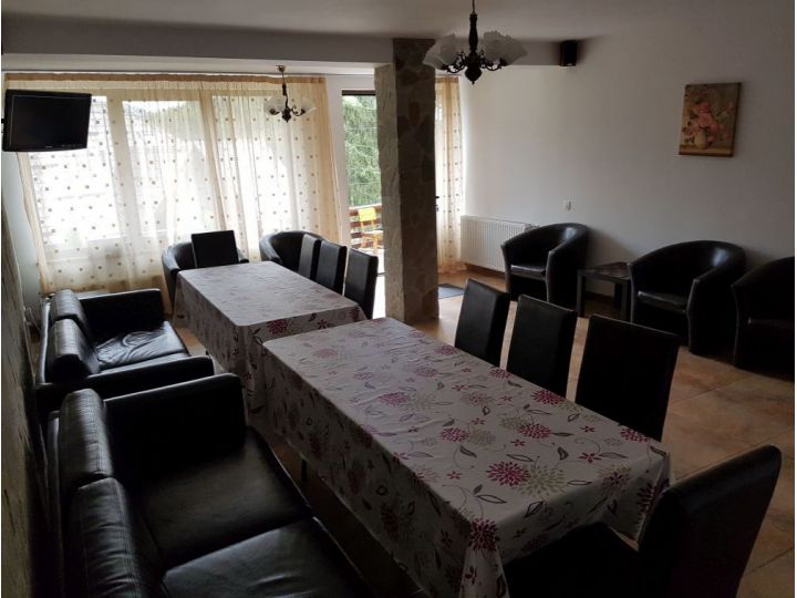 Vila Marin, Sinaia - imaginea 