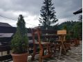Vila Marin, Sinaia - thumb 9