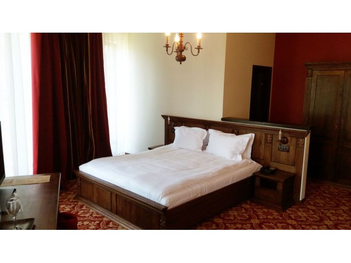 Hotel Castel Transilvania, Baia Mare - imaginea