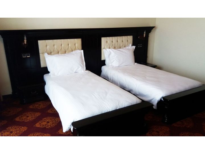 Hotel Castel Transilvania, Baia Mare - imaginea
