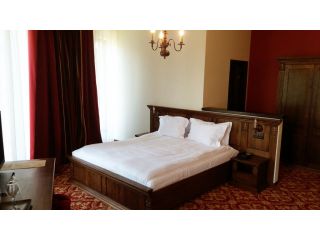 Hotel Castel Transilvania, Baia Mare - 5