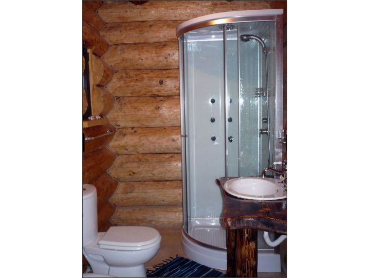 Cabana Vultur, Vatra Dornei - imaginea