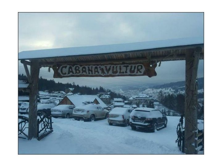 Cabana Vultur, Vatra Dornei - imaginea