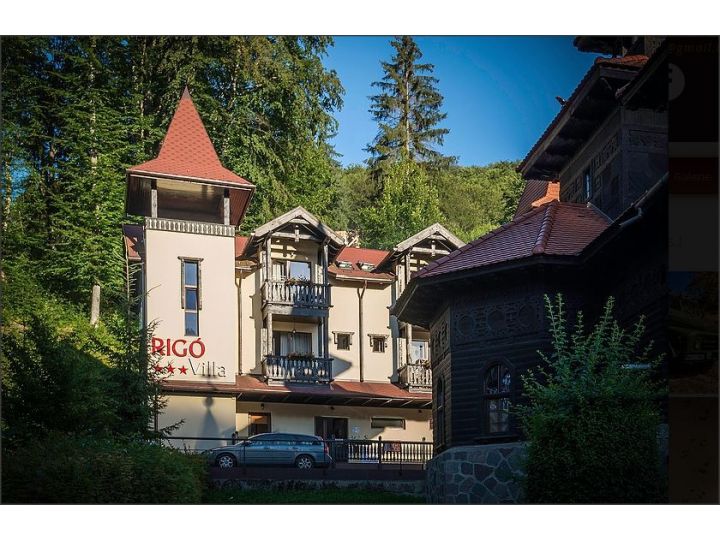 Vila Rigo, Sovata - imaginea 