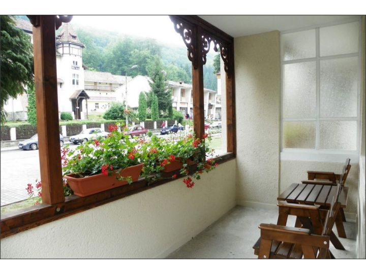 Hotel Muresul, Sovata - imaginea 