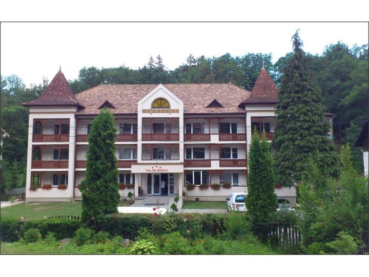 Hotel Muresul, Sovata - imaginea 