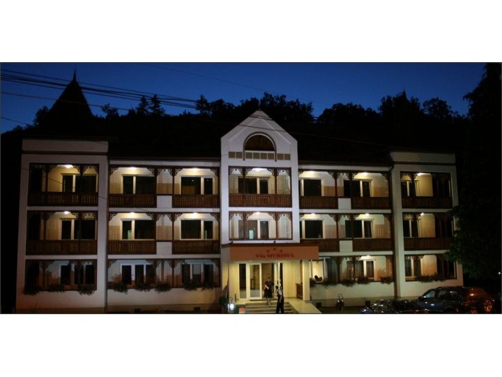 Hotel Muresul, Sovata - imaginea 