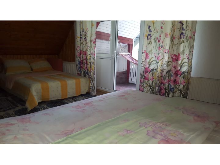 Pensiunea Casa Alex, Slanic Moldova - imaginea 