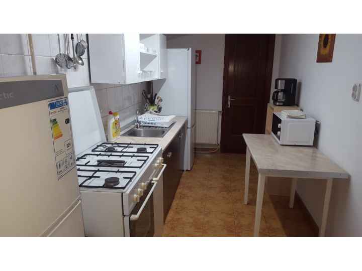 Pensiunea Casa Alex, Slanic Moldova - imaginea 