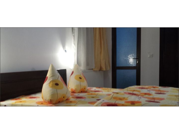 Vila Cabana Alena, Straja - imaginea 