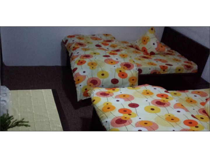 Vila Cabana Alena, Straja - imaginea 