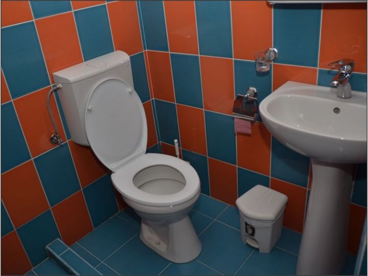 Pensiunea La Palaguta, Baia Mare - imaginea 