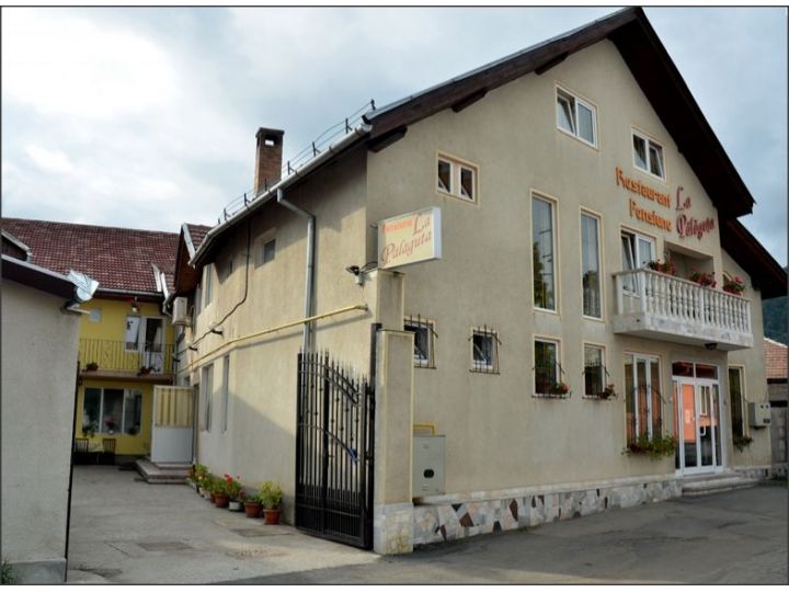 Pensiunea La Palaguta, Baia Mare - imaginea 