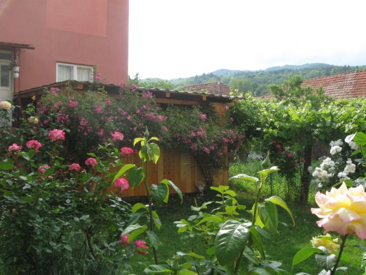 Vila Casa Fabrizio, Calimanesti-Caciulata - imaginea