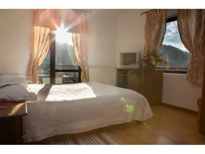 Motel Ieremia Movila, Sucevita - imaginea 
