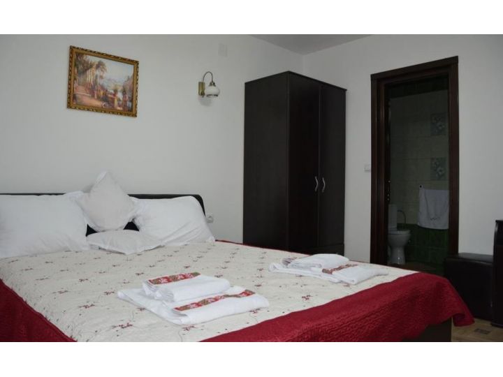Pensiunea Casa Cristina, Fundu Moldovei - imaginea 