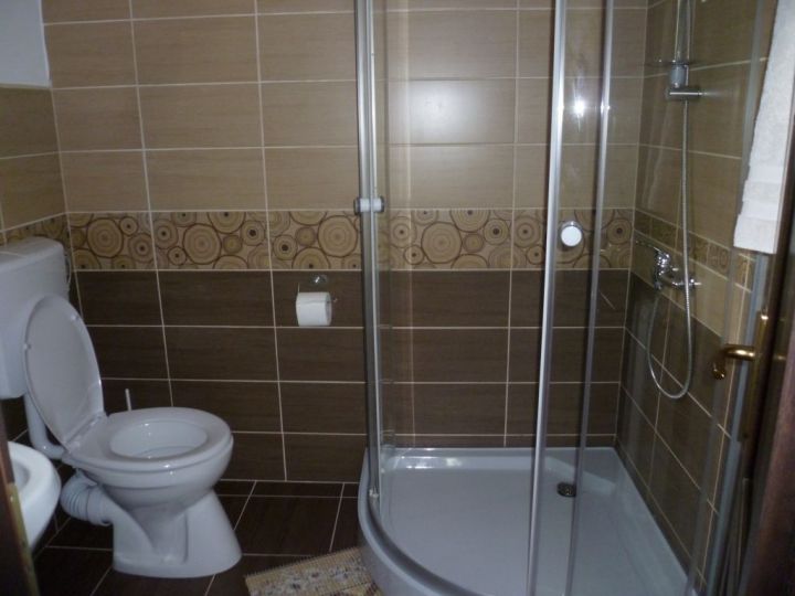 Pensiunea Vila Bogdan, Calimanesti-Caciulata - imaginea