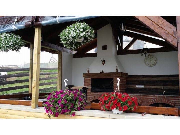 Vila Stefana, Arena Platos - imaginea 