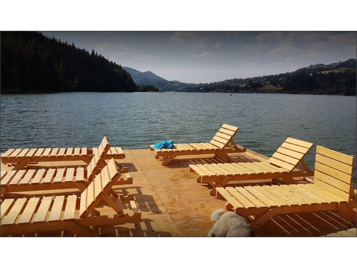 Pensiunea Montana Resort, Colibita - imaginea 