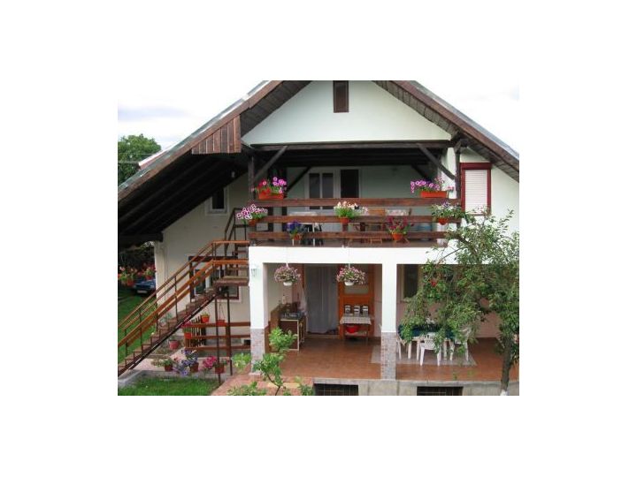 Pensiunea Casa Popa, Cartisoara - imaginea 