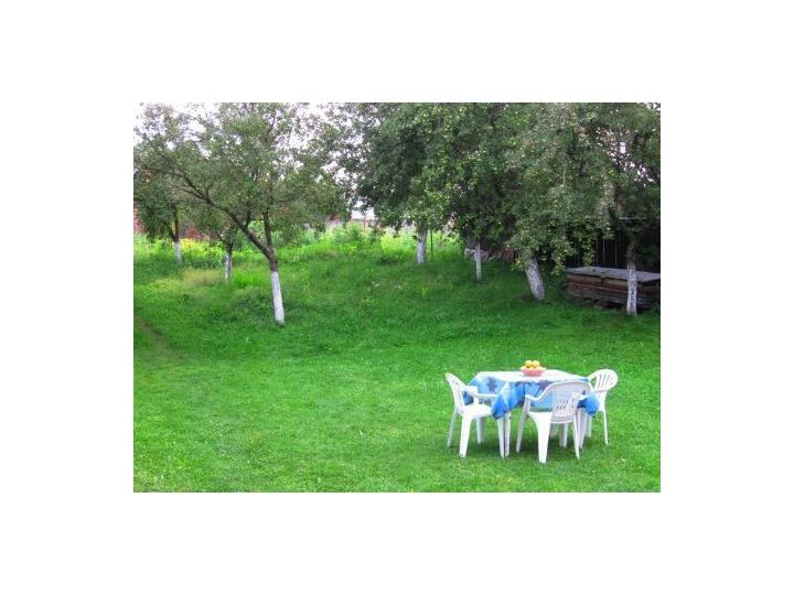 Pensiunea Casa Popa, Cartisoara - imaginea 