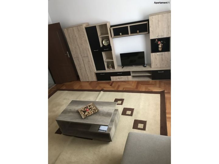 Apartamentul Casa Brezeanu, Timisoara - imaginea