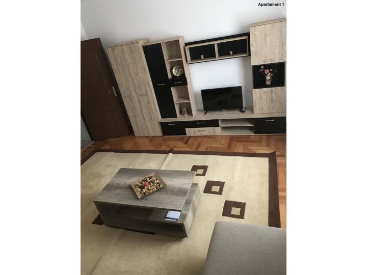 Apartamentul Casa Brezeanu, Timisoara - imaginea 