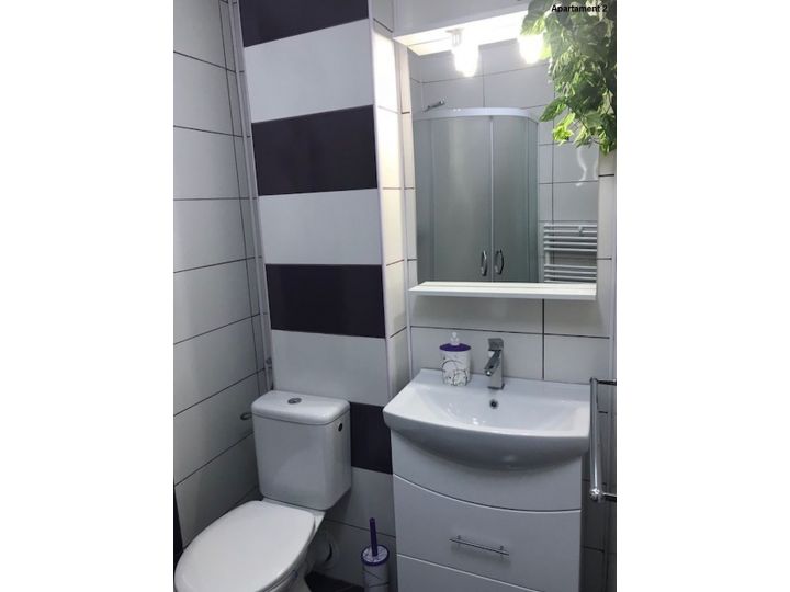 Apartamentul Casa Brezeanu, Timisoara - imaginea 