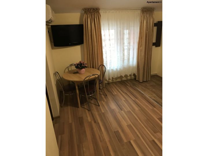 Apartamentul Casa Brezeanu, Timisoara - imaginea 