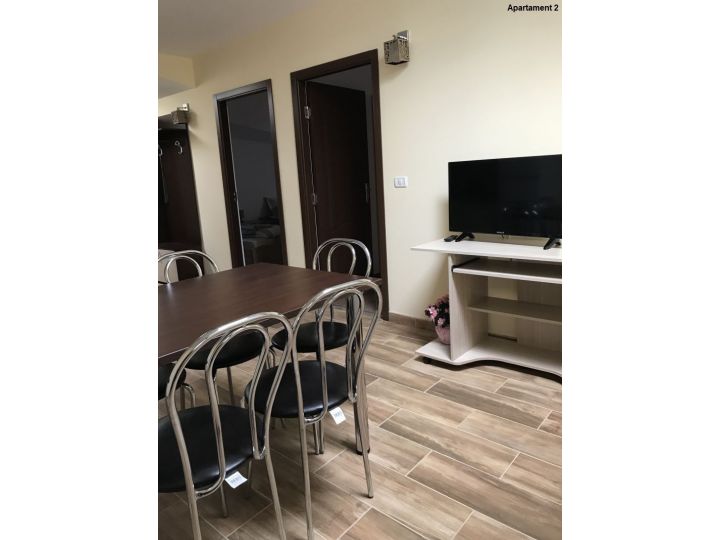 Apartamentul Casa Brezeanu, Timisoara - imaginea 