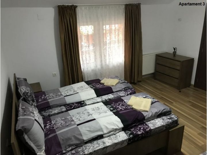 Apartamentul Casa Brezeanu, Timisoara - imaginea 