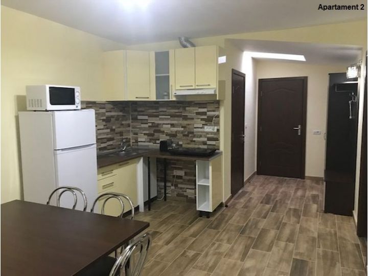 Apartamentul Casa Brezeanu, Timisoara - imaginea 