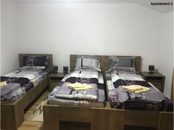 Apartamentul Casa Brezeanu, Timisoara - imaginea