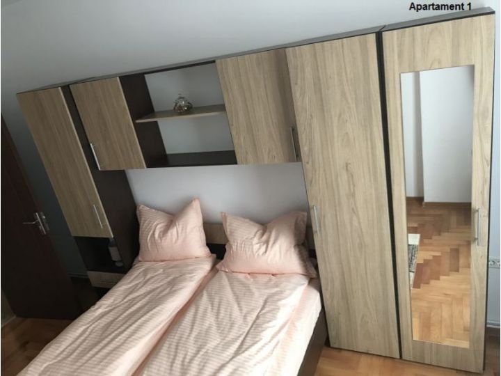 Apartamentul Casa Brezeanu, Timisoara - imaginea 