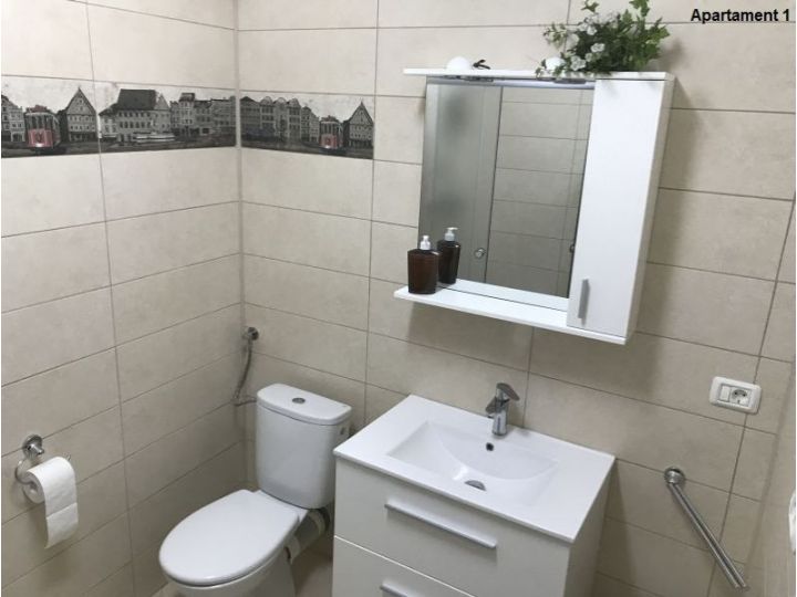 Apartamentul Casa Brezeanu, Timisoara - imaginea