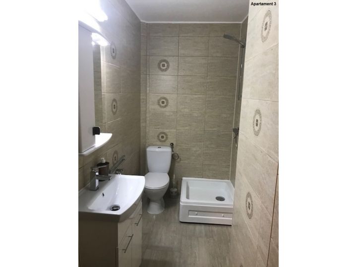 Apartamentul Casa Brezeanu, Timisoara - imaginea 