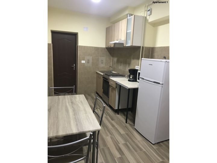 Apartamentul Casa Brezeanu, Timisoara - imaginea 