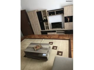 Apartamentul Casa Brezeanu, Timisoara - 4