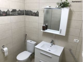 Apartamentul Casa Brezeanu, Timisoara - 3