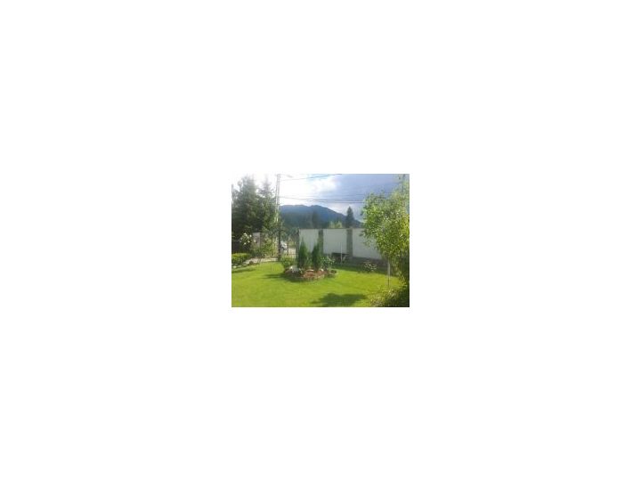 Vila Canionul 7 Scari, Timisul De Jos - imaginea 