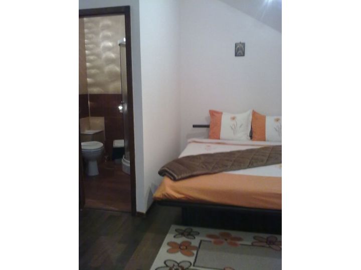 Vila Canionul 7 Scari, Timisul De Jos - imaginea 