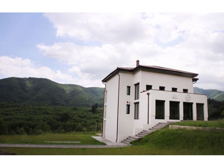 Pensiunea Cuib, Cisnadioara - imaginea