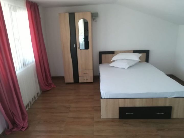 Apartamentul Casa Noua, Calimanesti-Caciulata - imaginea 